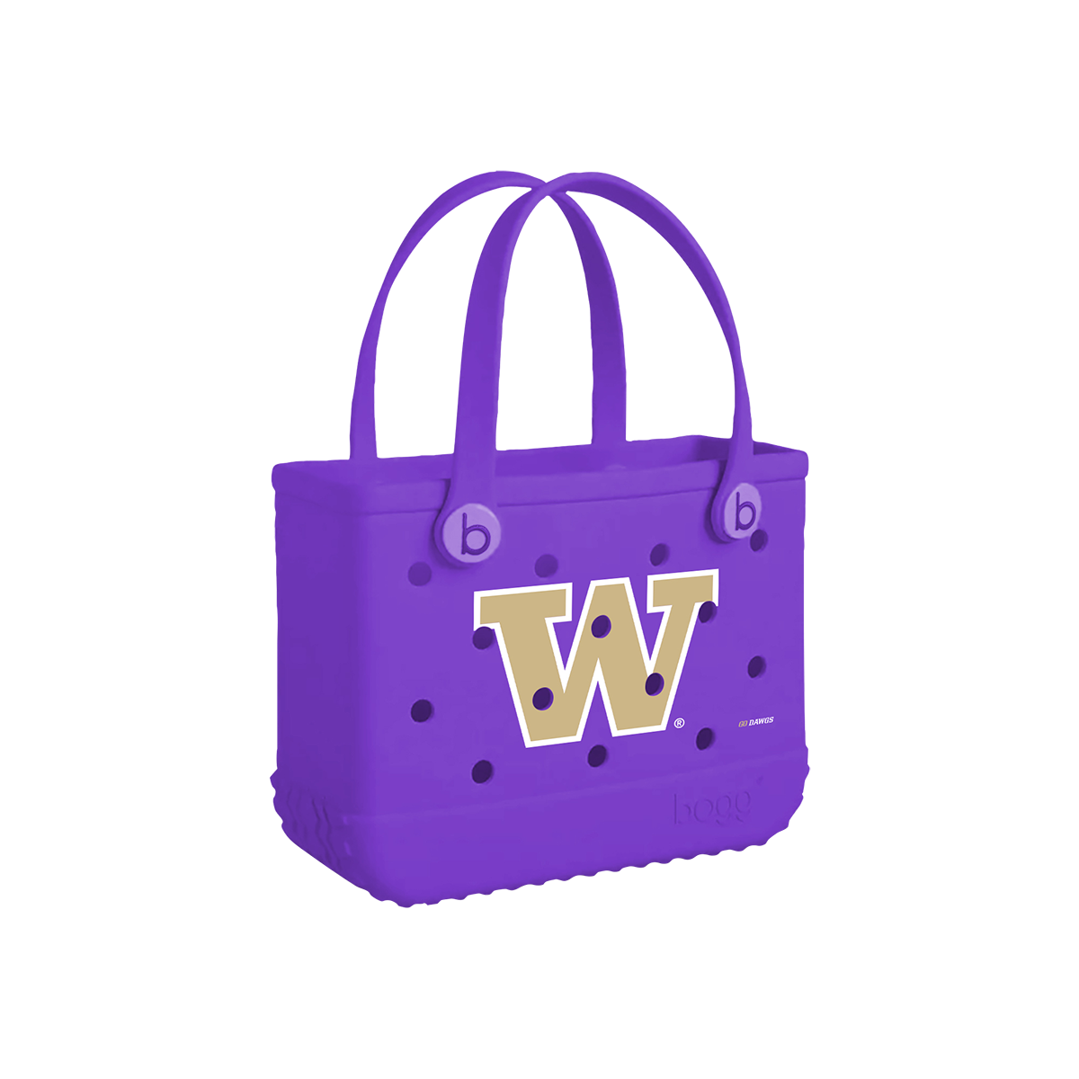 Bitty Bogg Bag - Washington Huskies - Ready for Lake Days